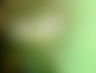 《Hannali Lessonに関するご連絡》