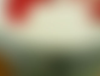 今年もありがとうございました。