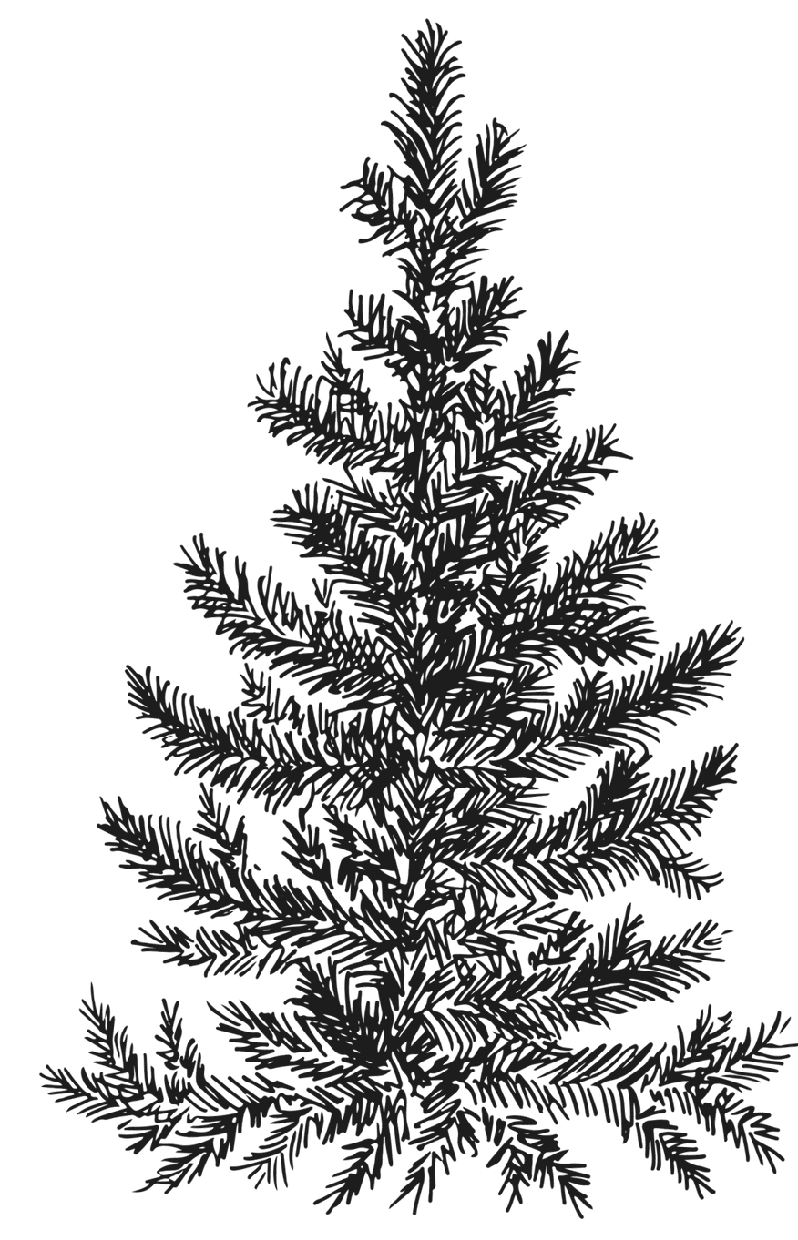 Black Silhouette Tree