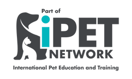 iPET_All-wording_logo-768x461.png