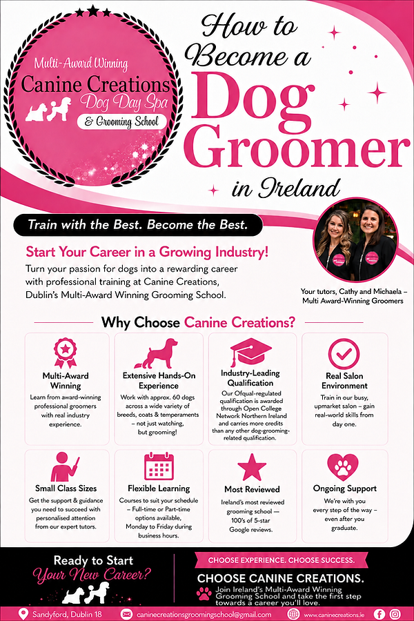How to become a Dog Groomer in Ireland.PNG