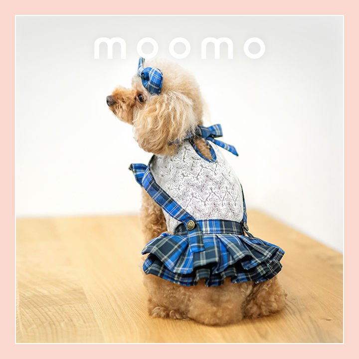 ブルーチェック柄のレーススカート おしゃれなわんちゃん可愛いお洋服
