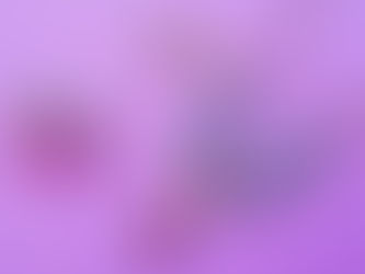 12/7-13 日本橋三越POP UP SHOP