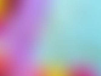 GOMAJIMA 12TH ANNIVERSARY