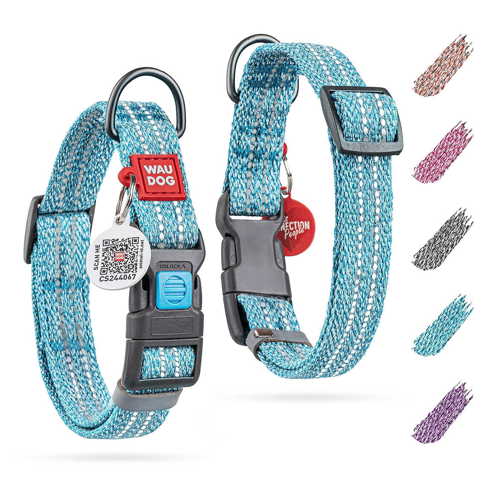 Miniatura: Blue Reflective Cotton Dog Collar Eco Friendly for Medium Dogs 1016 inch Neck