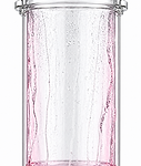 Glass lined evaporator.png