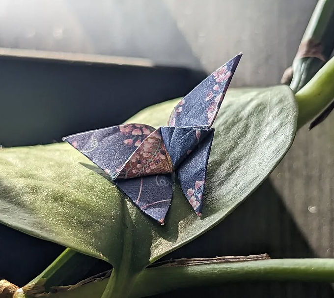 18019089199793714.webp