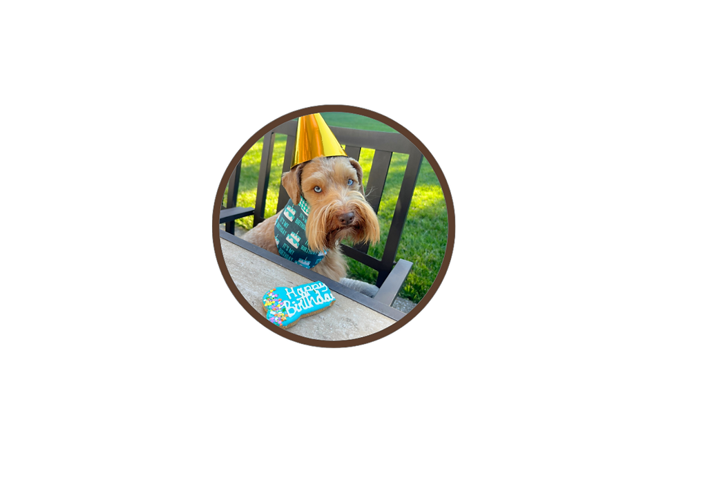 Your paragraph text-17.png