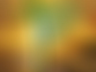 Começa a contagem regressiva para o Congresso Missionário Diocesano