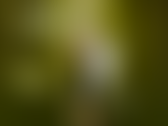 Festa de São Félix de Cantalício: tempo de fé, tradição e esperança em Pacatuba