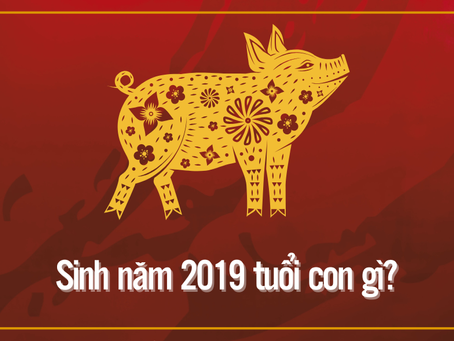 Phong thủy người sinh năm 2019: Mệnh gì, hợp màu nào, nên làm nghề gì?