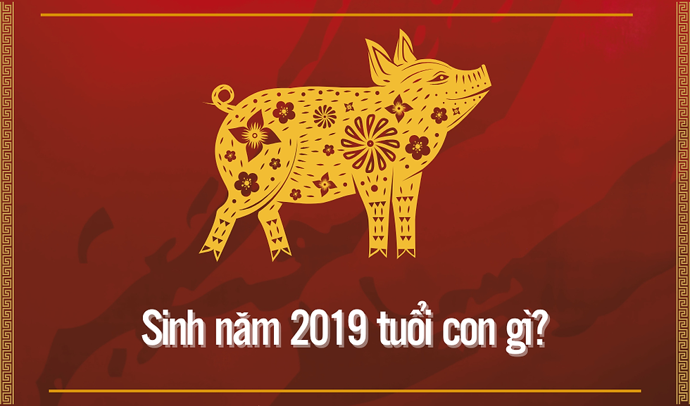 Phong thủy người sinh năm 2019: Mệnh gì, hợp màu nào, nên làm nghề gì?