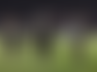 Botafogo segue vivo nas Libertadores!