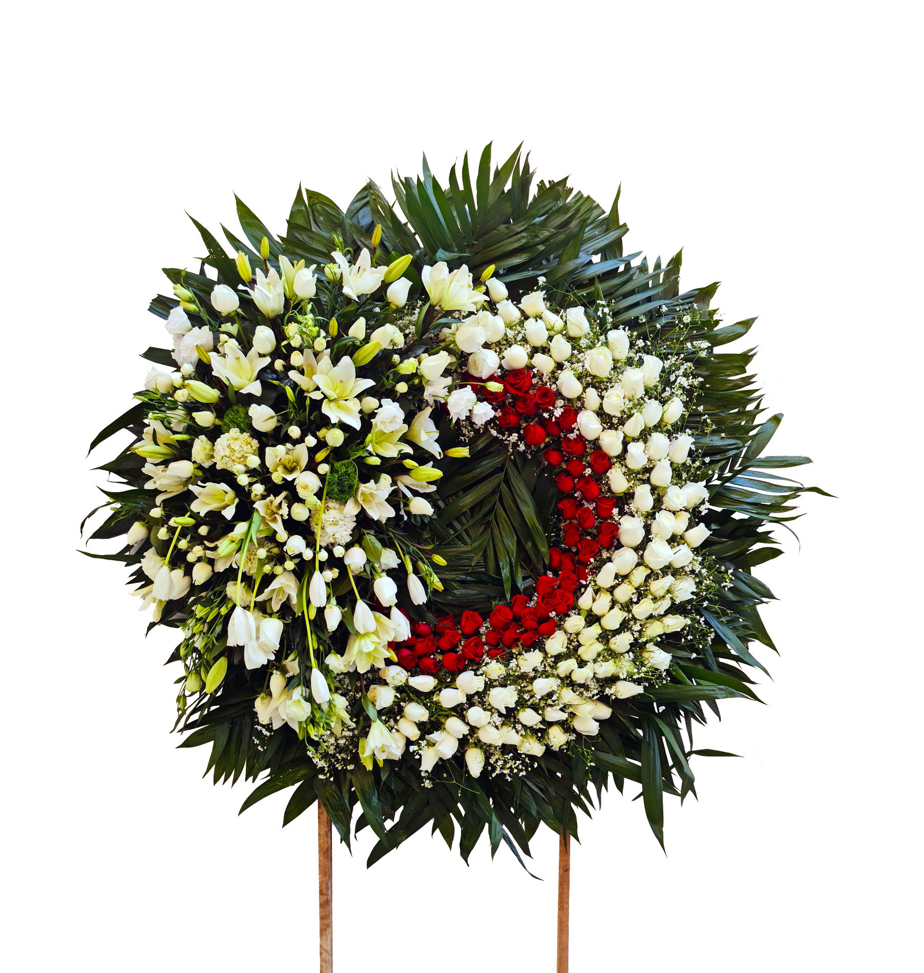 Esperanza