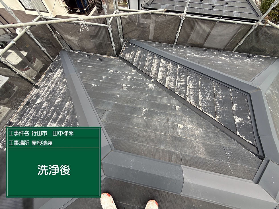 F5A8C443-8F1D-4F70-BDB9-9454160C9B5C.JPEG