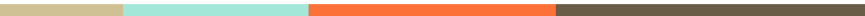 barre de 3 couleurs : menthe, orange et marron