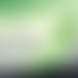 What does it mean to be Aromantic?