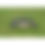 Thumbnail: Wood Pigeon Decoy
