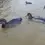 Thumbnail: Mallard Decoy