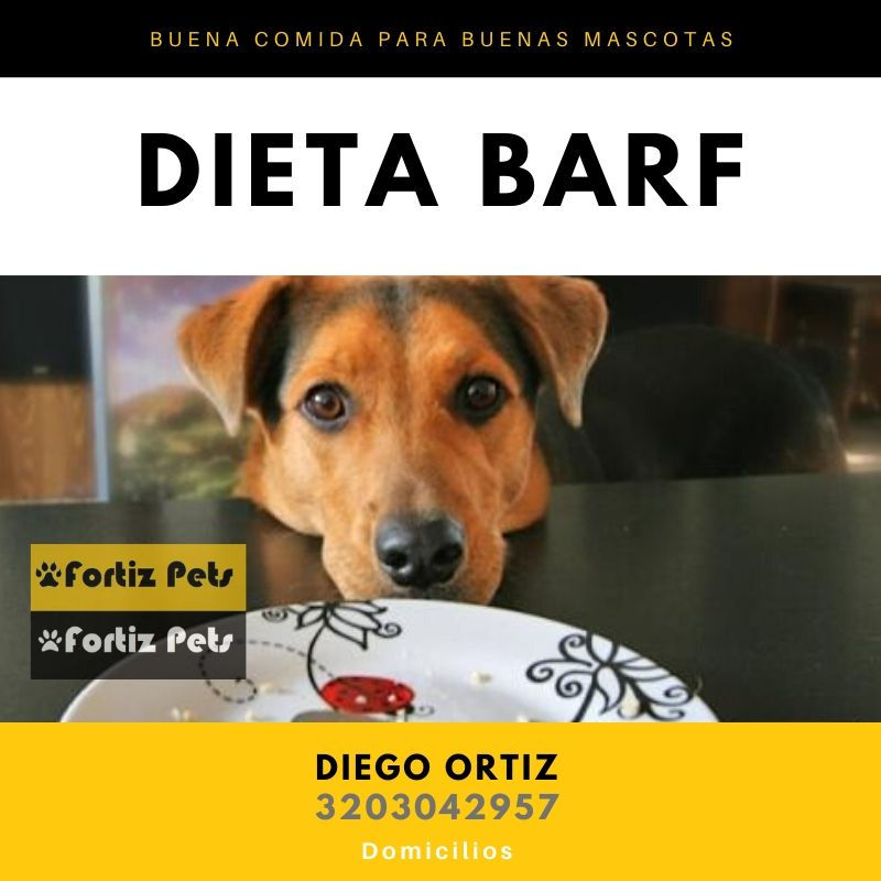 Dieta BARF/ACBA para perros
