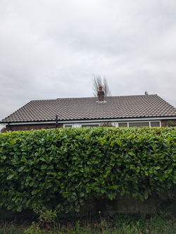 PXL_20251114_110433277.MP