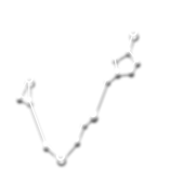 1213212313132.png