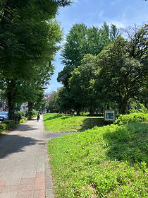 IMG_0410.jpeg