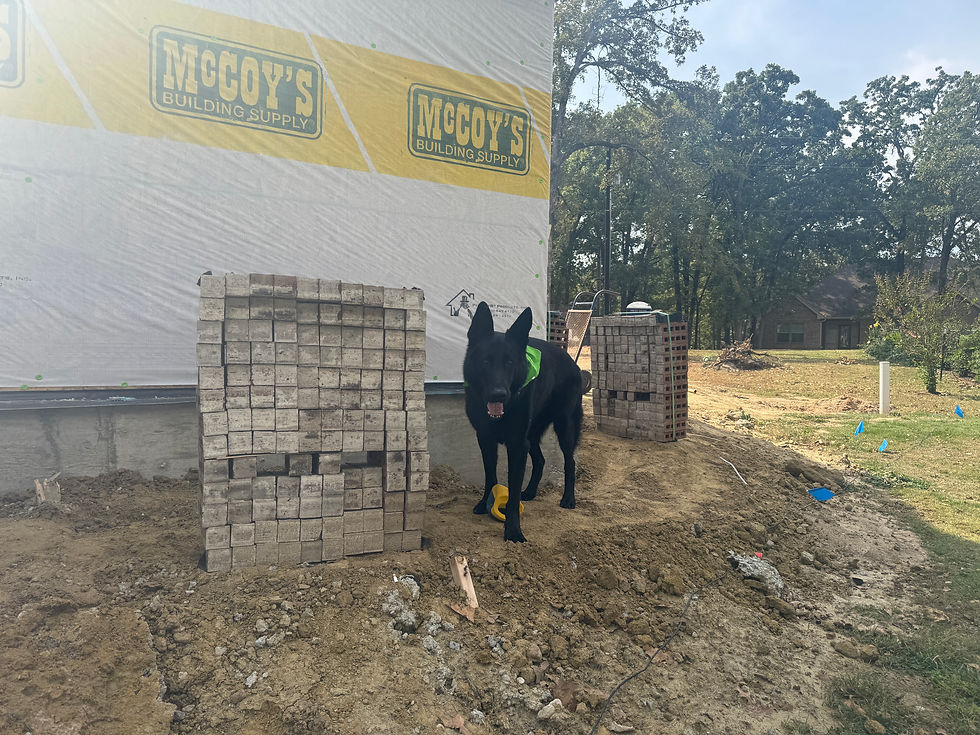 🧱 Bricking Begins: Bringing Texture & Warmth to Our Home