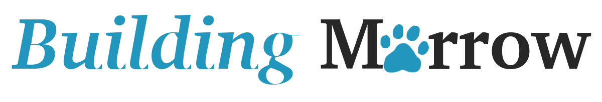 Building Morrow logo, blue Building and gray Morrow on black background.