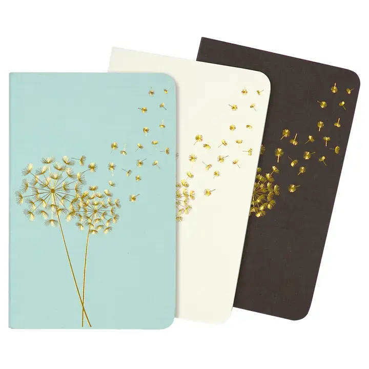 Thumbnail: 3-set Mini Journals