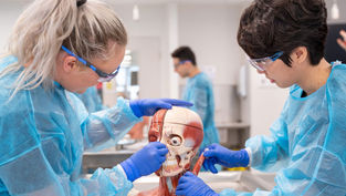 Mastering Medicine: The Transformative Power of Hands-On Training for Today's Physicians