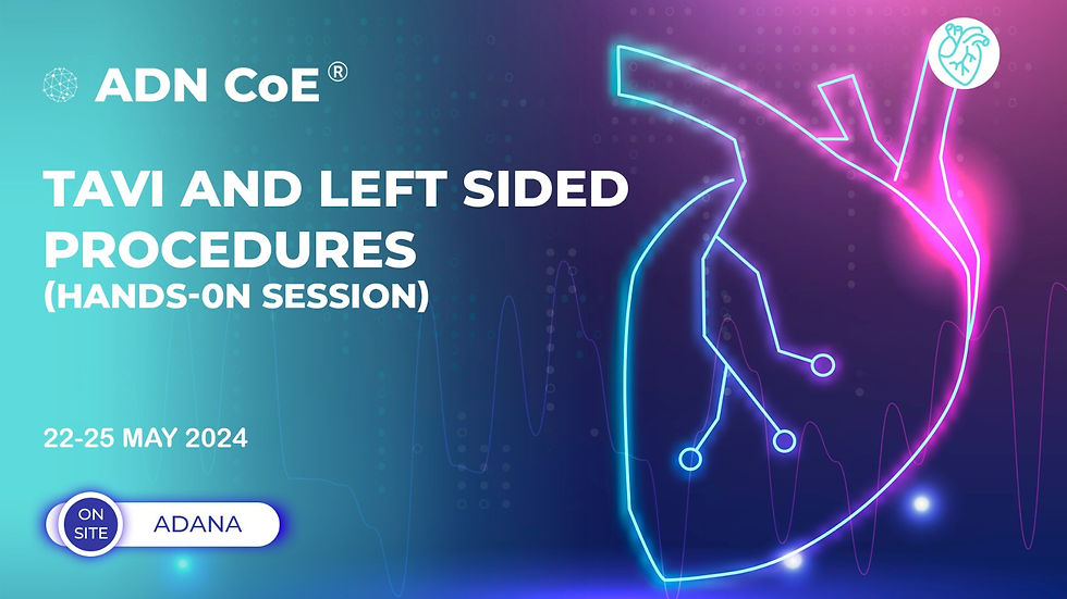 TAVI and left sided procedures Hands-On session