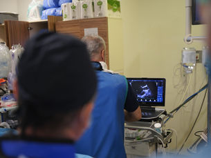 Mitral Valve Interventions: Advancements in Edge-to-Edge Repair