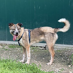 Lotti_IMG-20210417-WA0006_edited.jpg