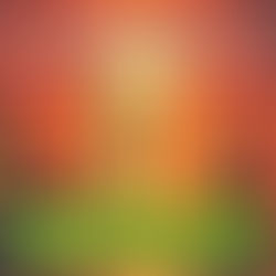 From Stuck Senior to Recognized Leader