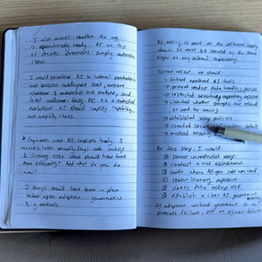 I didn’t bring my laptop to Den Bosch.