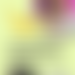 Deep Diving into Enneagram Leadership Styles - Investigators