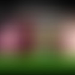 When the Mountain Isn’t Yours