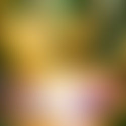 🐉🔥 The Opportunity I Could Have Missed, Not Because I Wasn’t Ready, But Because I Was Becoming More Than One Thing