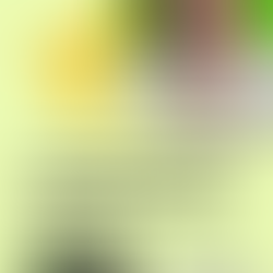 Deep Diving into Enneagram Leadership Styles - Individualists