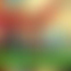 Leading with Clarity and Purpose