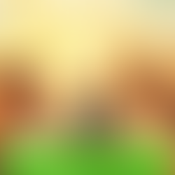 Sandra Dost: From Self-Made Loops to Self-Trust