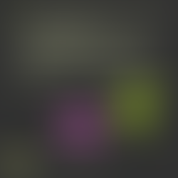 Navigating Phone Communication: From Childhood Challenges to Leadership Adaptations