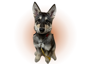 9D6FF4D3-D522-44F8-A345-CBE88AB7C3A9.png