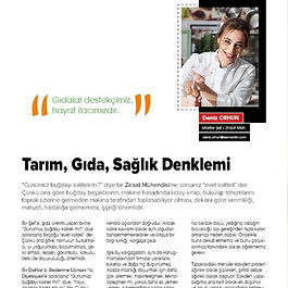 quill pen and paper graphic change color tone adn make collage with graphic food, pastel c