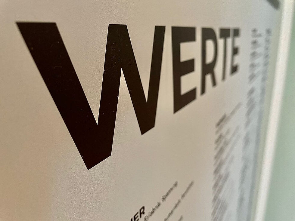 Coaching Freiburg Werte Plakat 2.jpg