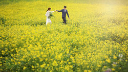 jeju selfwedding