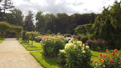 Parc du Thabor
