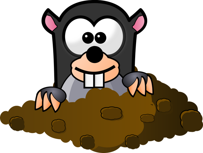 Mapping Moles and Melanomas: Do Melanomas Mostly Arise in Moles?