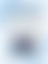 December 2025 Newsletter